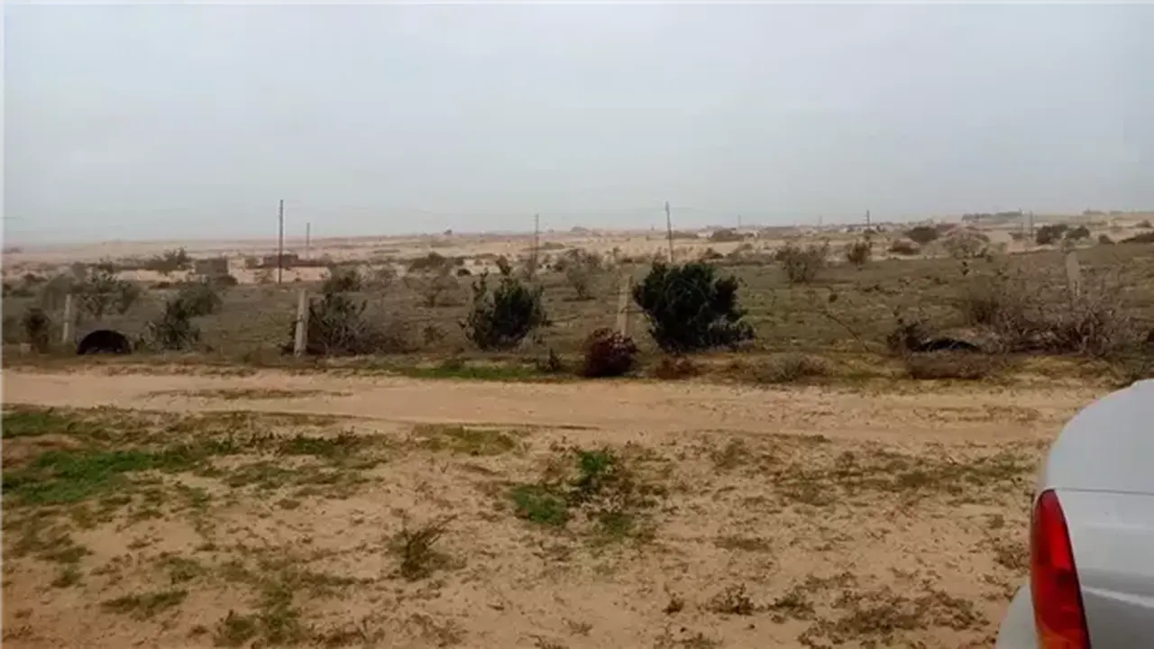 تقلبات جوية حادة.. رياح تضرب شمال سيناء والعظمى تسجل 28 درجة